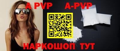 крисы Камышлов