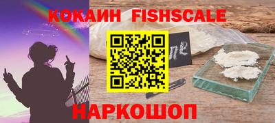 крисы Камышлов