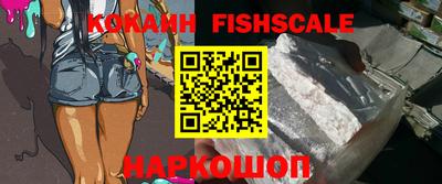 крисы Камышлов