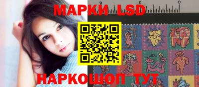 крисы Камышлов