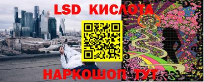 крисы Камышлов
