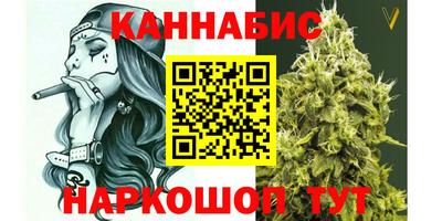 крисы Камышлов