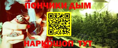 крисы Камышлов
