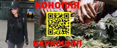 крисы Камышлов
