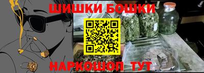 крисы Камышлов