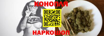 крисы Камышлов