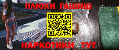 крисы Камышлов